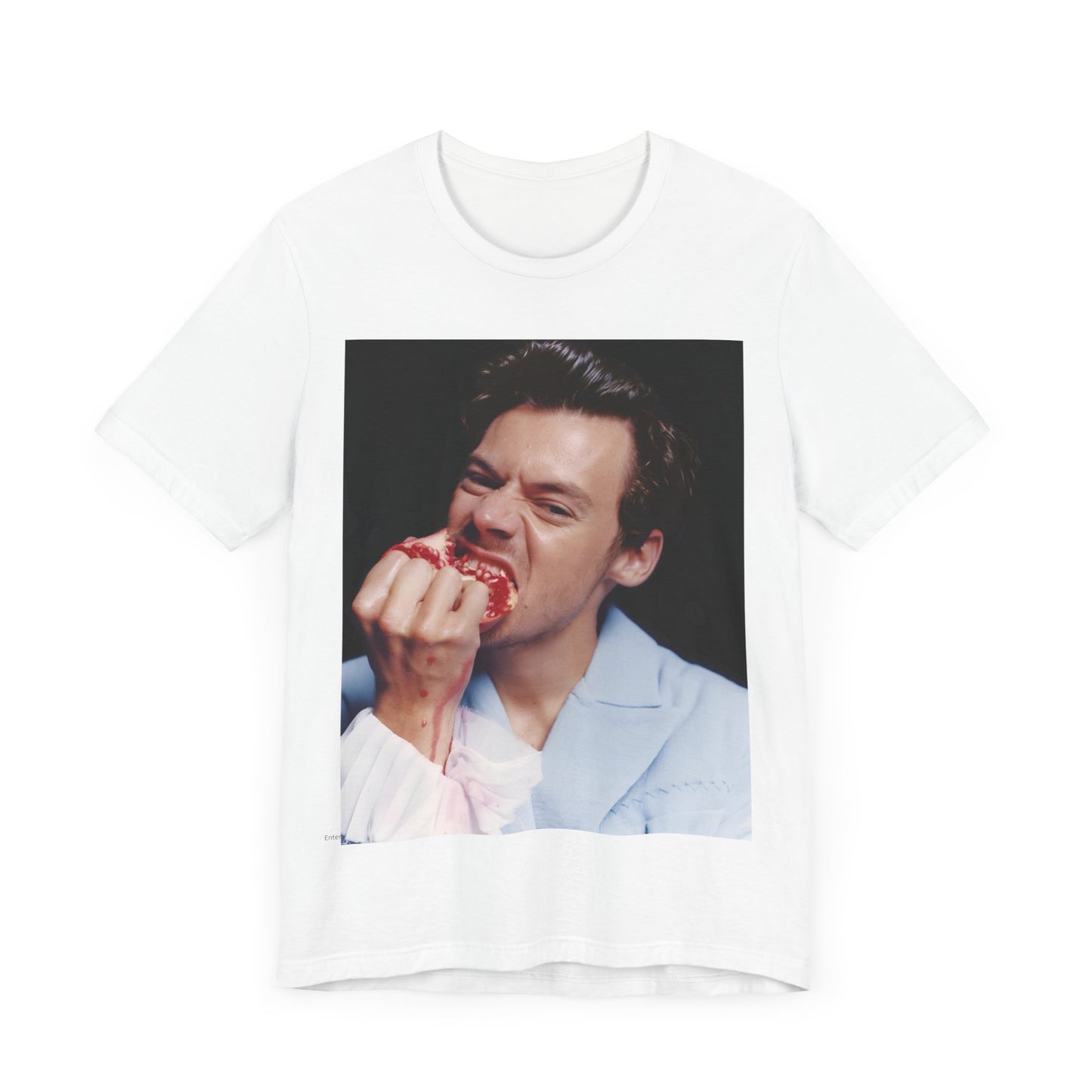 Harry Styles T-Shirt