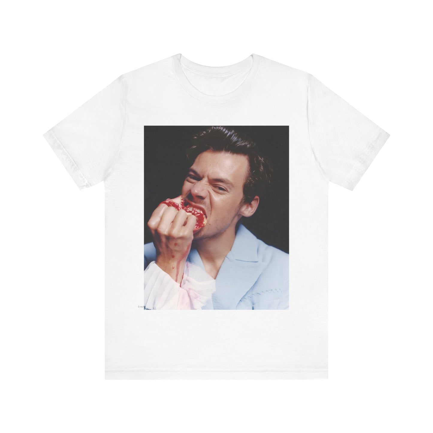 Harry Styles T-Shirt