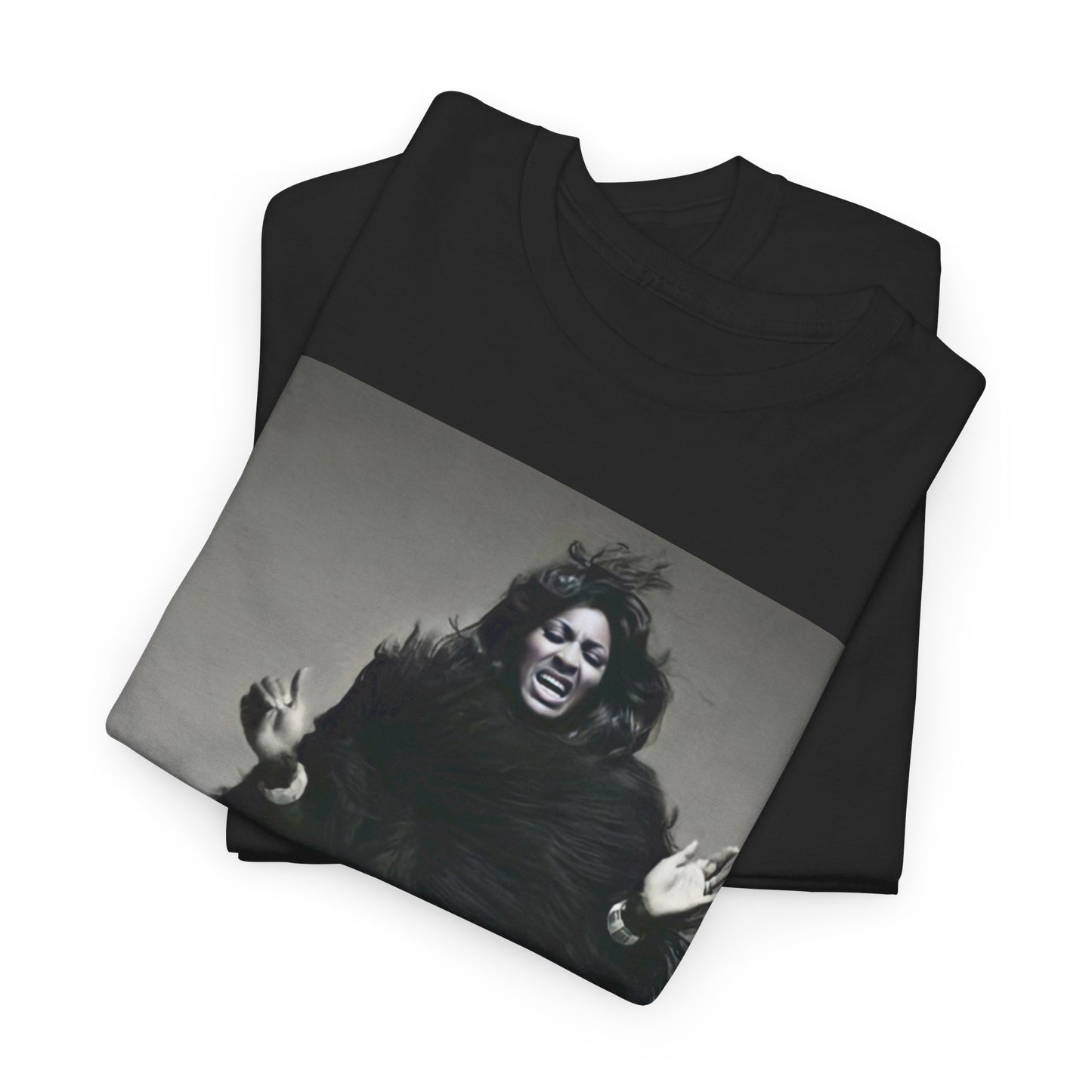 Tina Turner T-Shirt