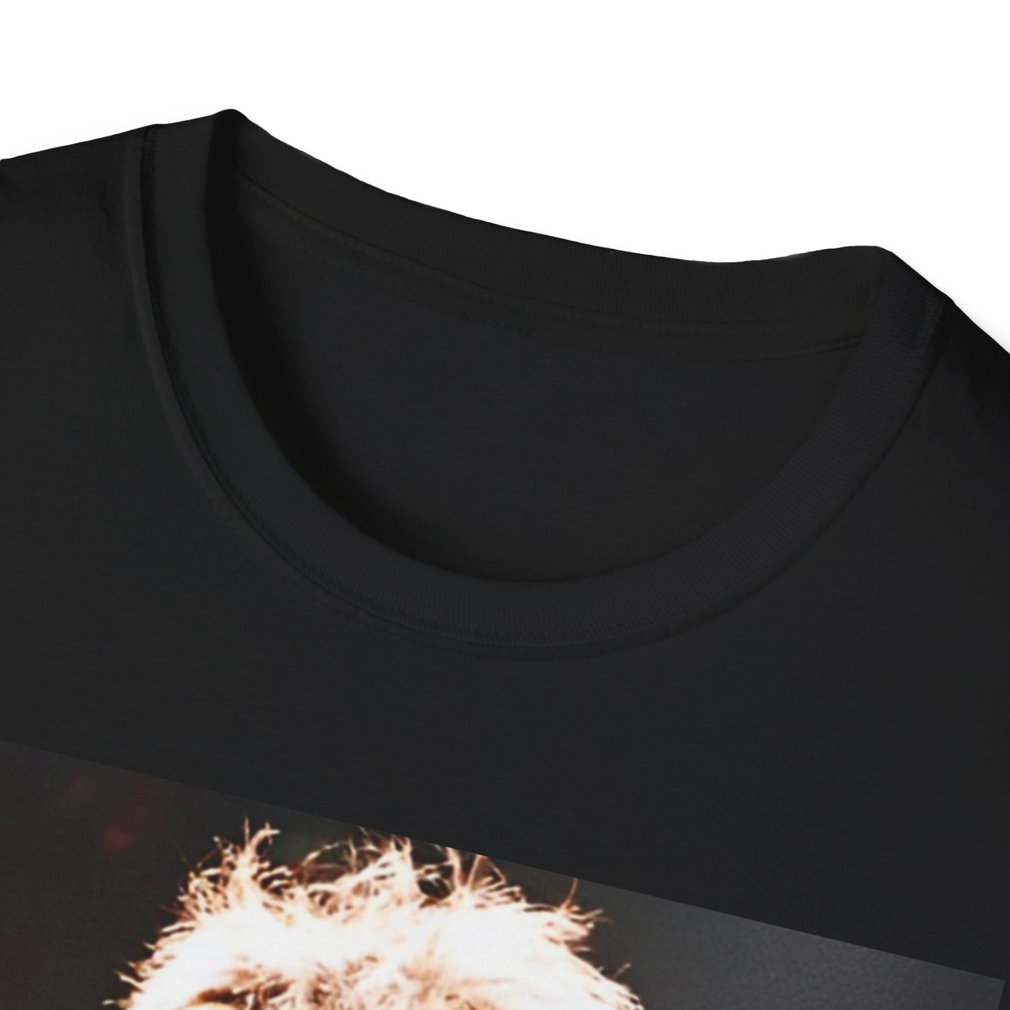 Tina Turner T-Shirt